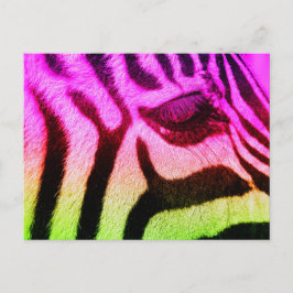 Postal Cebra Funky colorida