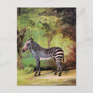 Postal Cebra, obra de arte de George Stubbs,