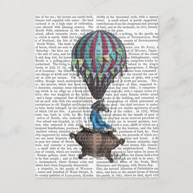 Postal Cebra voladora (Anverso)