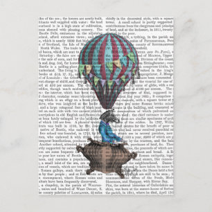 Postal Cebra voladora