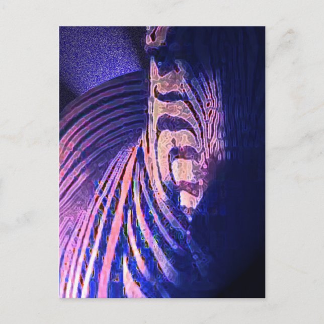 Postal Cebras brillantes 09 (Anverso)