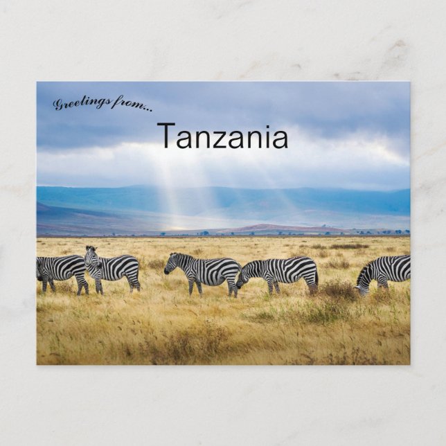 Postal Cebras de Tanzania (Anverso)