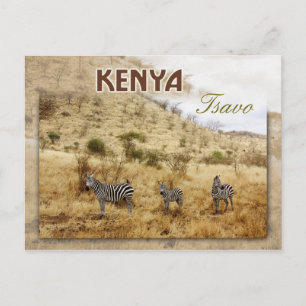 Postal Cebras en Tsavo, Kenia
