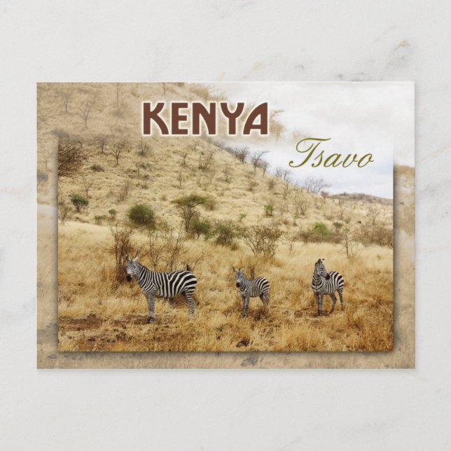 Postal Cebras en Tsavo, Kenia (Anverso)
