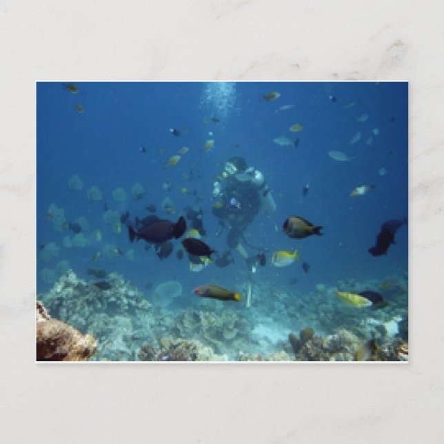 Postal Cebú Diving.jpg (Anverso)