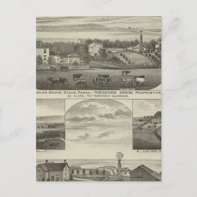 Postal Cedar Grove Stock Farm y Roberts Ranch, Kansas (Anverso)