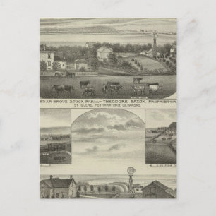 Postal Cedar Grove Stock Farm y Roberts Ranch, Kansas