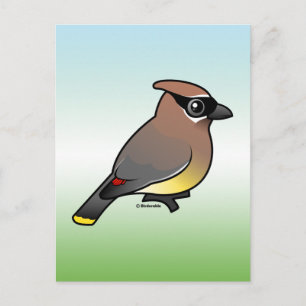 Postal Cedar Waxwing