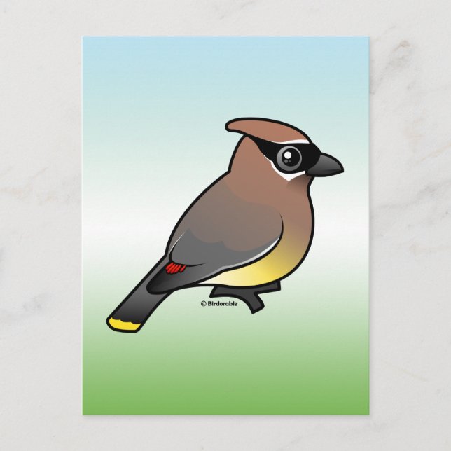 Postal Cedar Waxwing (Anverso)