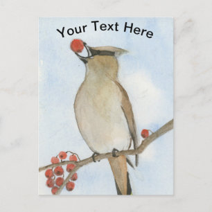 Postal Cedar Waxwing