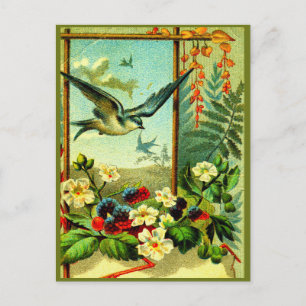 Postal ¡Celebra la naturaleza" con estilo!