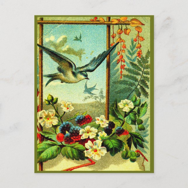 Postal ¡Celebra la naturaleza" con estilo! (Anverso)