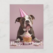 Celebración del cumpleaños de Pit Bull