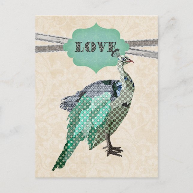 Postal Celeste Peacock    LovePostcard (Anverso)