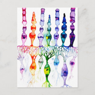 Postal Células de cono células de vástago y neuronas bipo