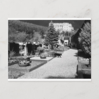Postal Cementerio alemán con gato negro caminando.