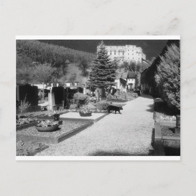 Postal Cementerio alemán con gato negro caminando. (Anverso)