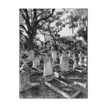 Cementerio de Bonaventure, Savannah GA