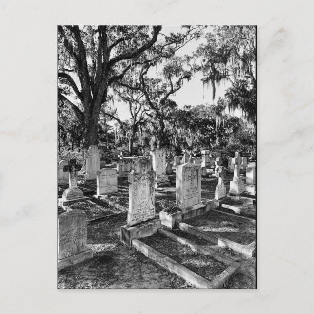 Postal Cementerio de Bonaventure, Savannah GA (Anverso)
