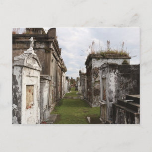 Postal Cementerio de Louisiana