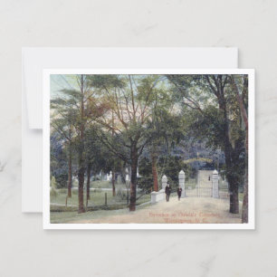 Postal Cementerio de Wilmington NC Oakdale, años 1910