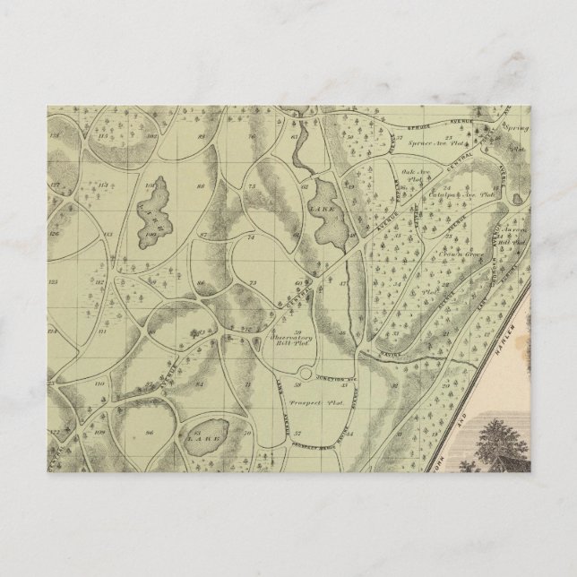 Postal Cementerio de Woodlawn (Anverso)