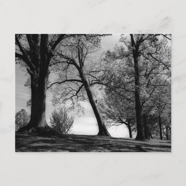 Postal Cemscape (Anverso)