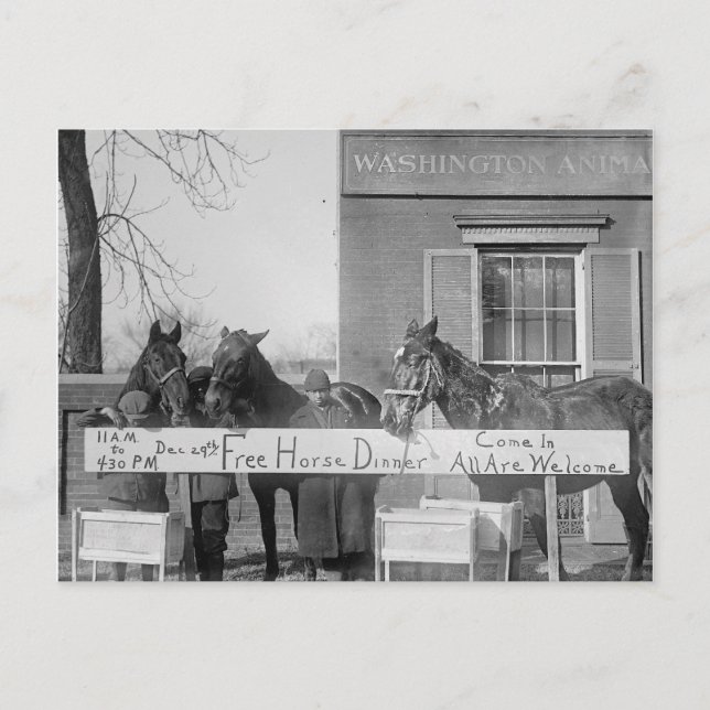 Postal Cena gratis para caballos, 1923 (Anverso)