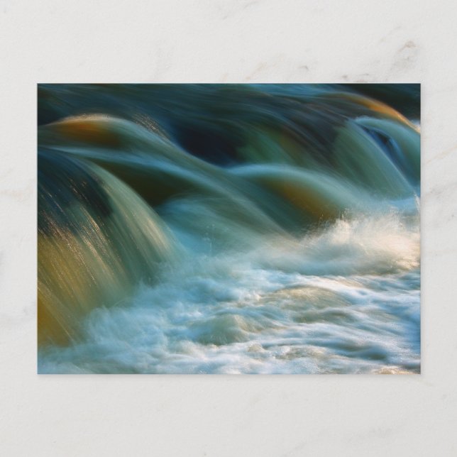 Postal Cenarth Falls (Anverso)