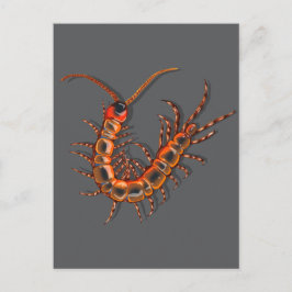Postal Centipede 