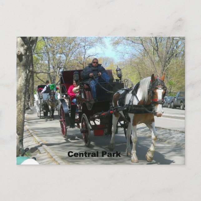 Postal Central Park, Caballo y Carrito (Anverso)