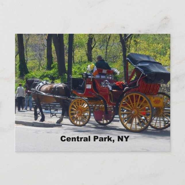 Postal Central Park, Caballo y Carrito (Anverso)