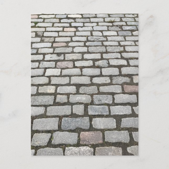 Postal Central Park Cobblestones Stone Pathway NYC Foto (Anverso)