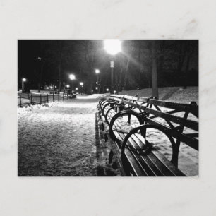 Postal Central Park en invierno
