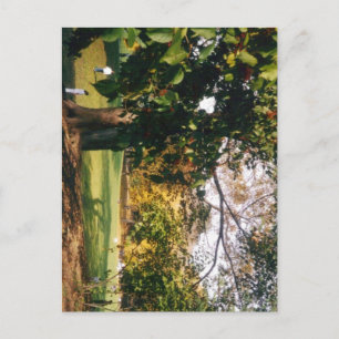 Postal Central Park en otoño