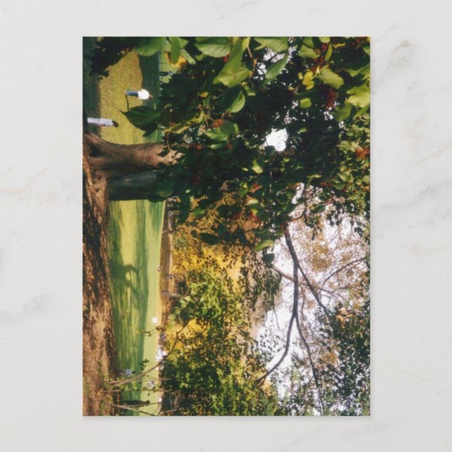 Postal Central Park en otoño (Anverso)
