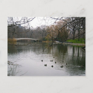 Postal Central Park Lake NYC New York City Postcard