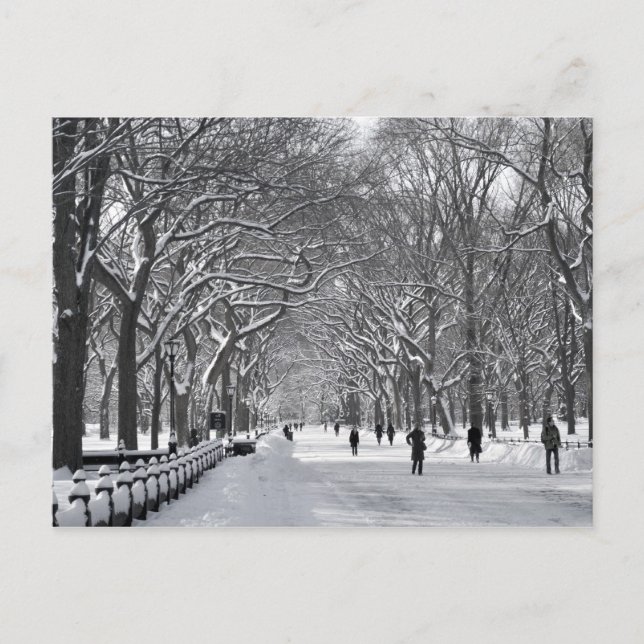 Postal Central Park Mall B&B (Anverso)