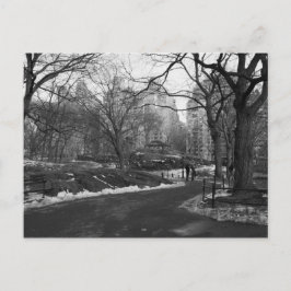Postal Central Park negro del blanco NY