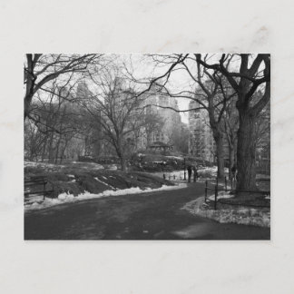 Postal Central Park negro del blanco NY