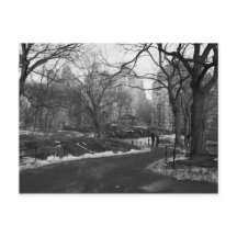 Central Park negro del blanco NY