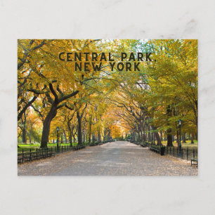 Postal Central Park, New York Postcard Souvenir