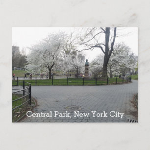 Postal Central Park New York Springtime Path con árboles
