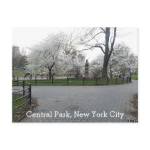 Central Park New York Springtime Path con árboles