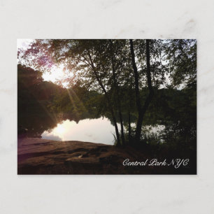Postal Central Park New York Summer Sunlight on the Pond