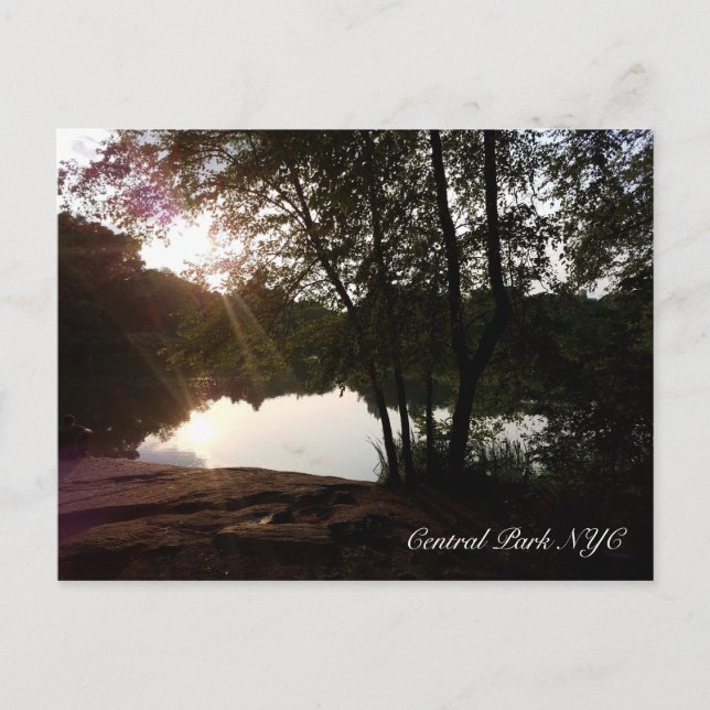 Postal Central Park New York Summer Sunlight on the Pond (Anverso)