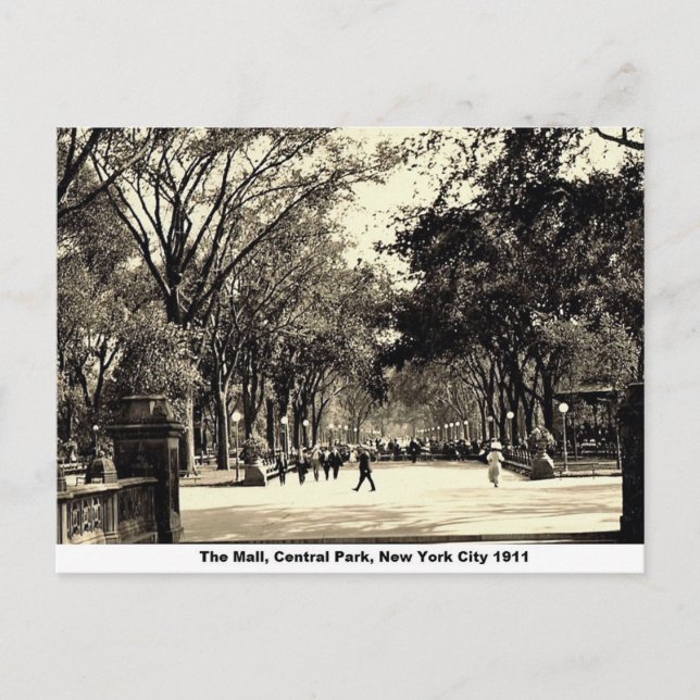Postal Central Park, Nueva York City, Vintage (Anverso)