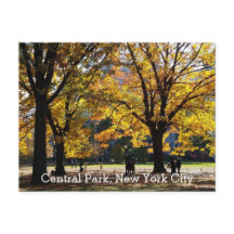 Central Park Nueva York Otoño Árboles Amarillos
