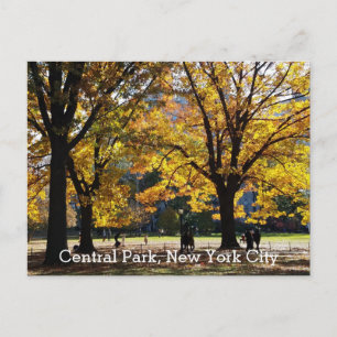 Postal Central Park Nueva York Otoño Árboles Amarillos