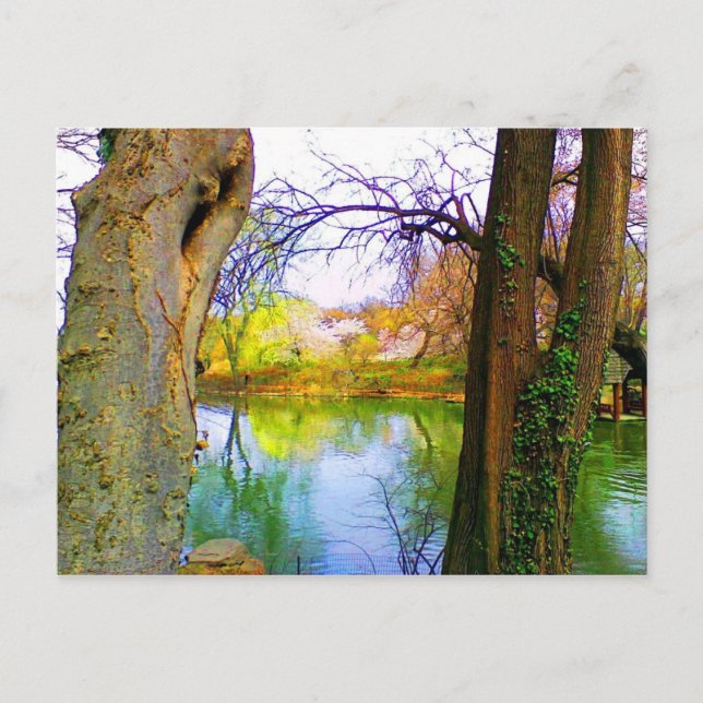 Postal Central Park, NY (Anverso)